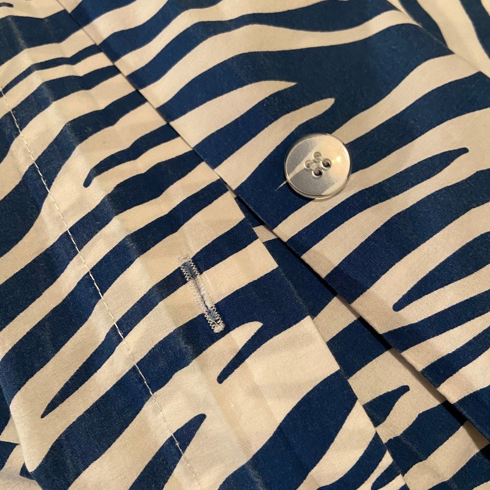 Pottery Barn Teen Funky Zebra Duvet Cover in Blue and White
